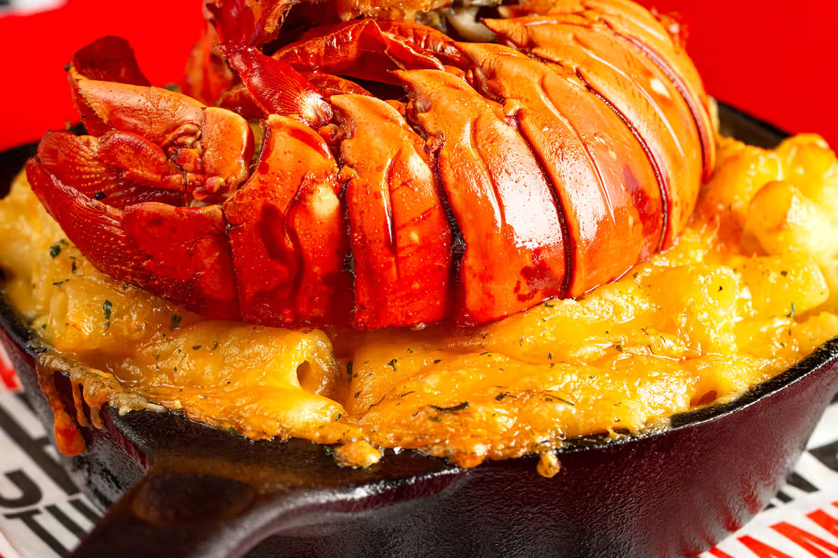 Jumbo Lobster Mac